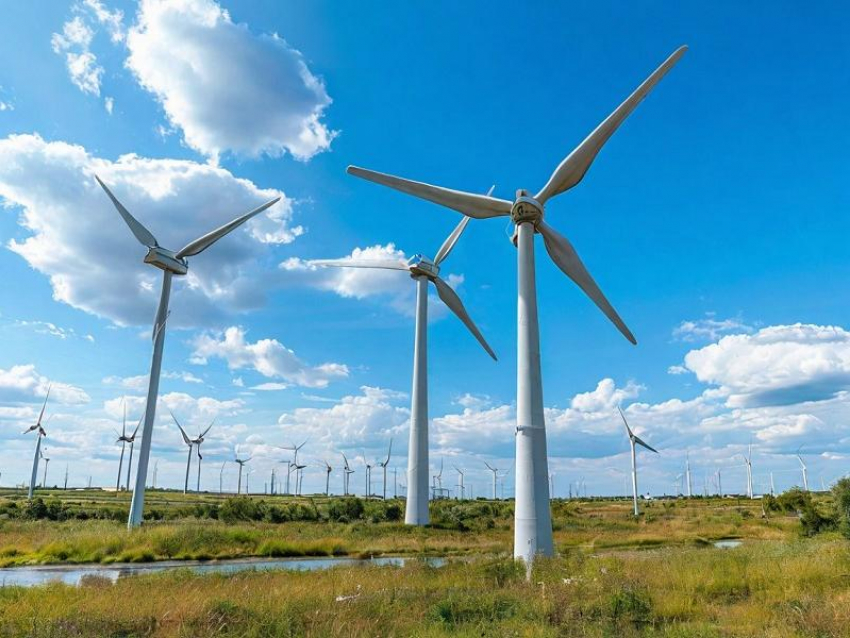 Резкое увеличение объёма электроэнергии от ветрогенерации зафиксировали в Запорожской области