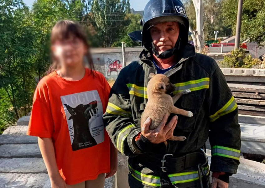 Спасатели МЧС достали из-под бетонных завалов щенка в Мелитополе