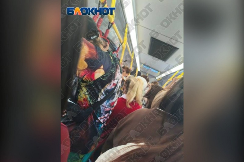 «Двери закрываются с трудом»: жительница Мелитополя просит добавить рейсы автобуса №1 