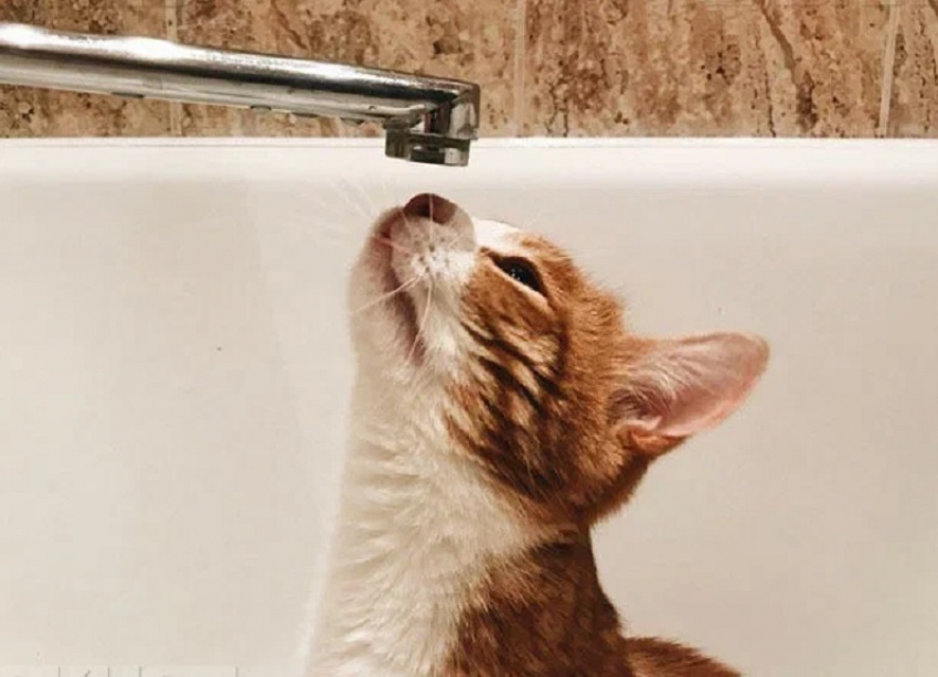 Названа причина массового отключения воды и света в Бердянске