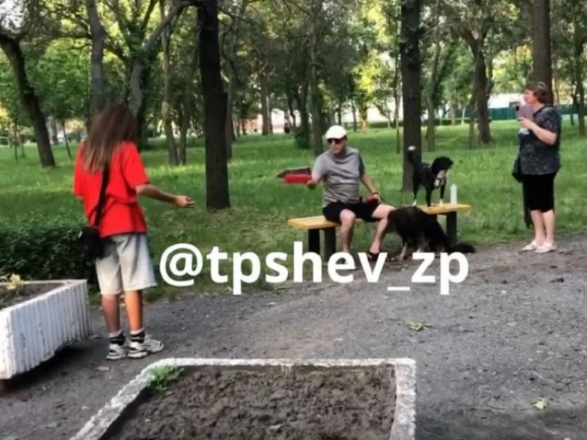 «Вы совсем охренели?»: дерзкая реакция на замечание собаководу попала на видео в Запорожье
