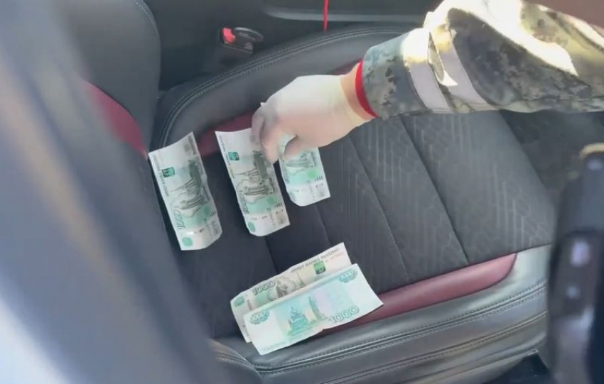 «Утилизируй, и я погнал»: дерзкого нарушителя поймали инспекторы на трассе в Запорожье