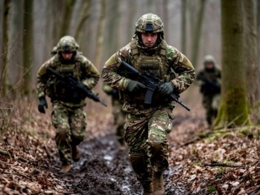 Боец ВСУ назвал слишком оптимистичными планы на масштабный контрнаступ в Запорожье