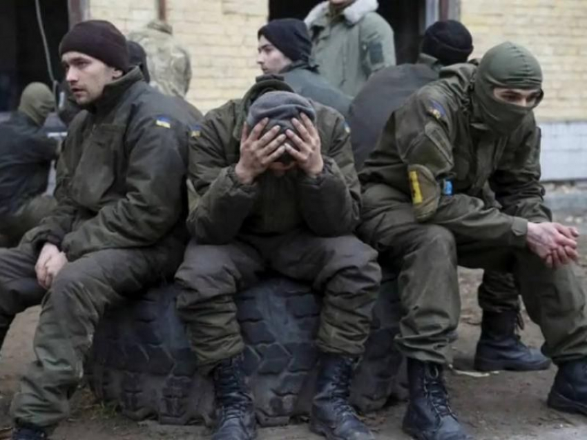 ТАСС: военные ВСУ на запорожском направлении считают себя брошенными