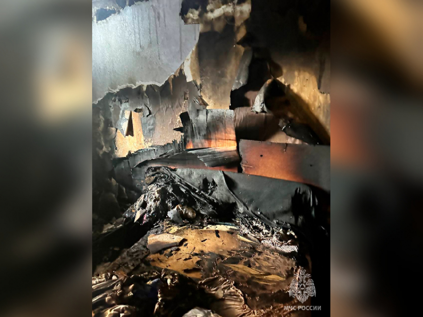 Мужчина и ребёнок заживо сгорели на пожаре в Бердянске