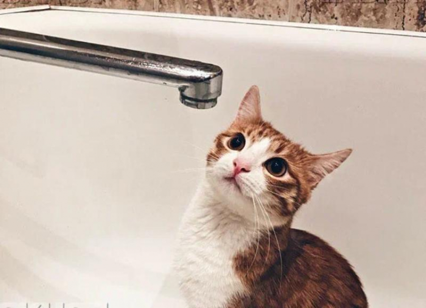 Из-за аварии на водоводе Мелитополь останется без воды 15 октября 