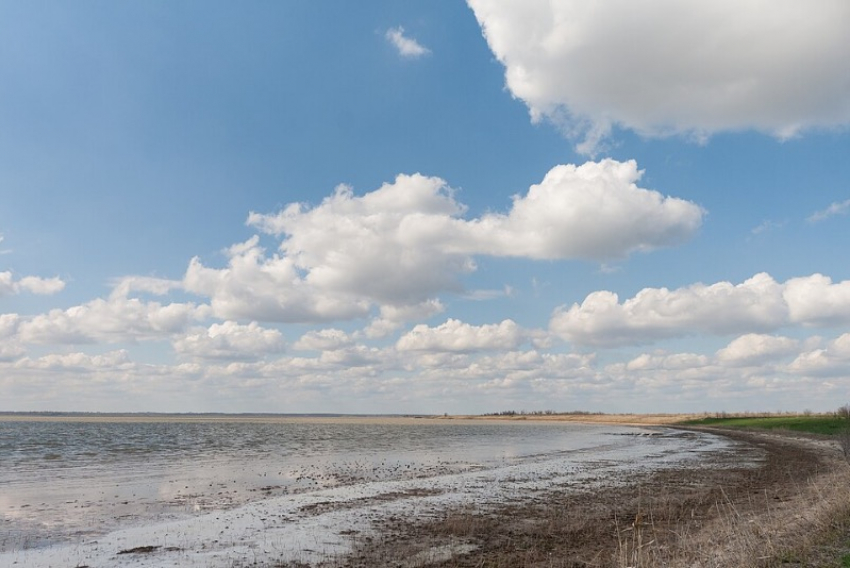 Экологи: рыбу в запорожском Молочном лимане можно восстановить
