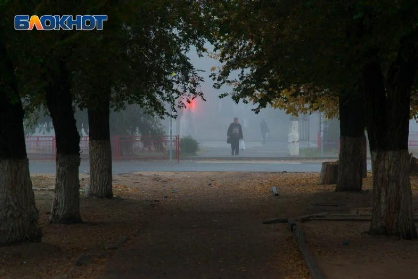 «Ядовитый» полигон, брошенный украинцами, ликвидируют в Бердянске 