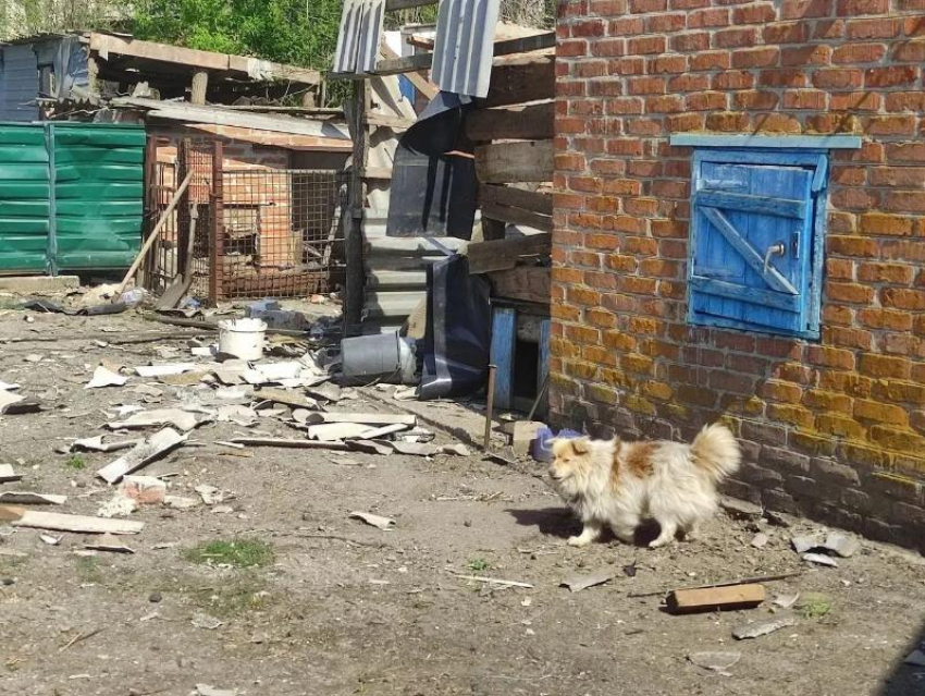 Киевские боевики накрыли дронами здания в Куйбышевском округе