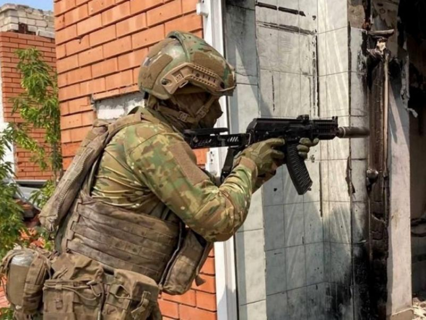ВС РФ могут остановить наступление на Запорожье в рамках сделки Путина и Трампа
