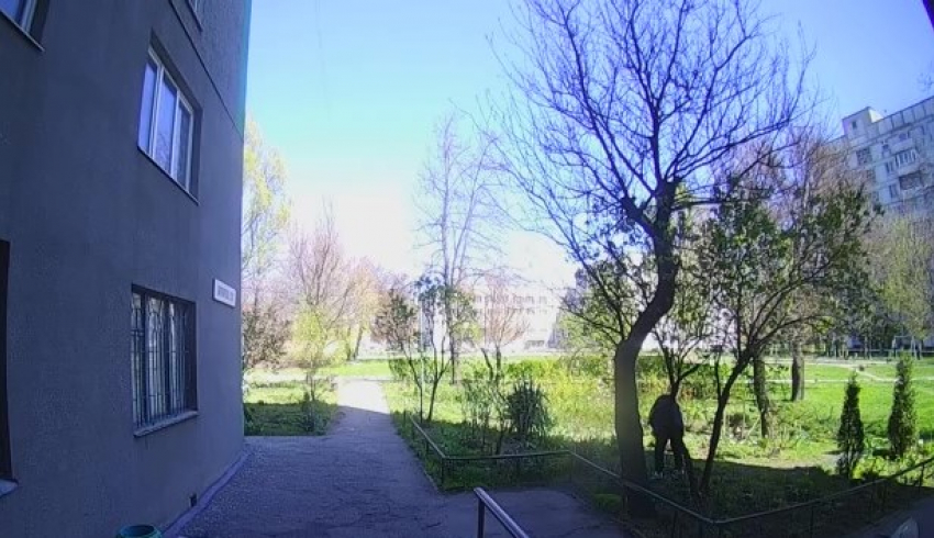 Прыткая цветочная воровка попала на видео в Запорожье