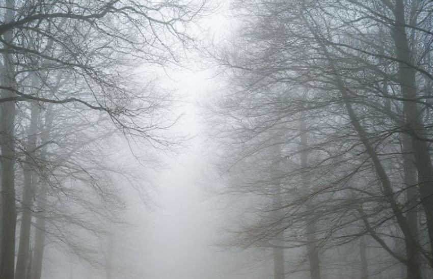 Штормовое предупреждение из-за тумана на Азовском море объявили в Запорожской области