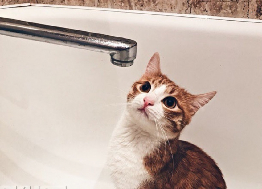 Воду по графику будут давать в Мелитополе в период блэкаута