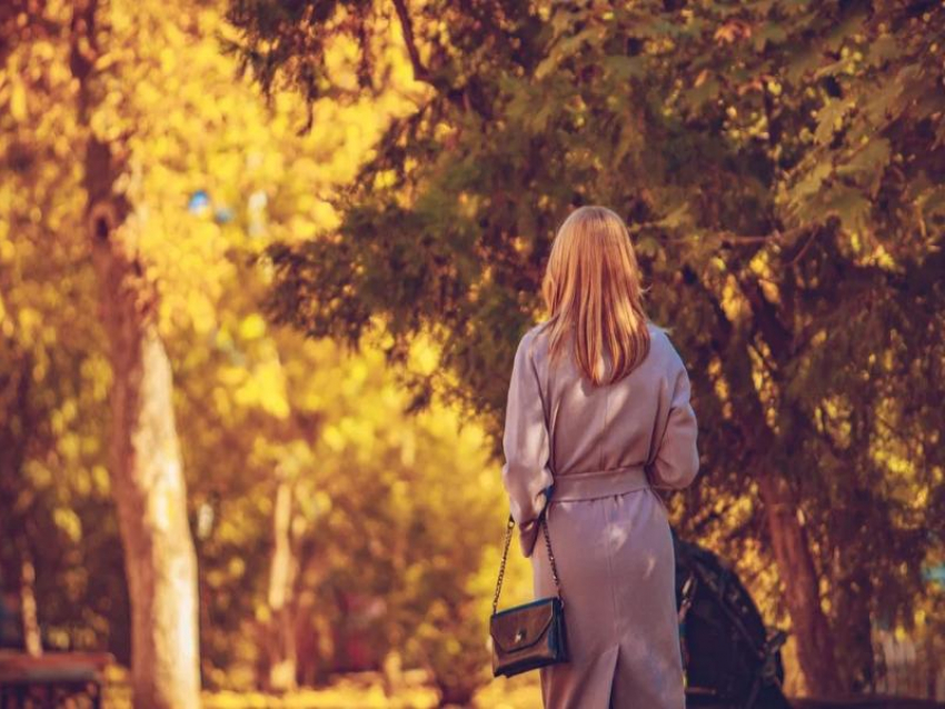 Какая погода ждет жителей Запорожской области на длинных выходных