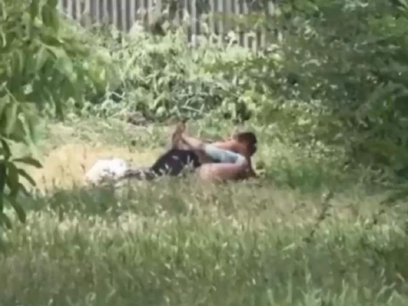 Рубик текшесі қынап